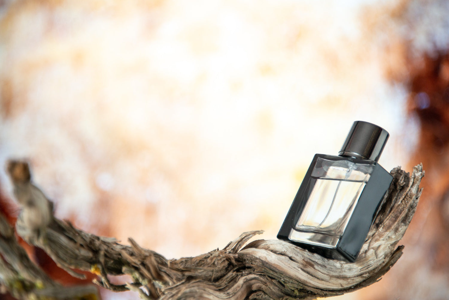 Soft & Elegant Fragrances